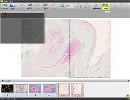 iWorks Lite GUI